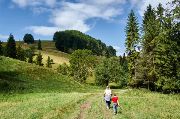 Meadow — Stock Photo, Image