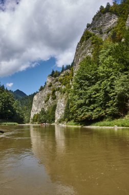 Sybahec