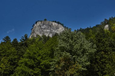 Sybahec