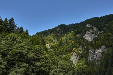 Sybahec