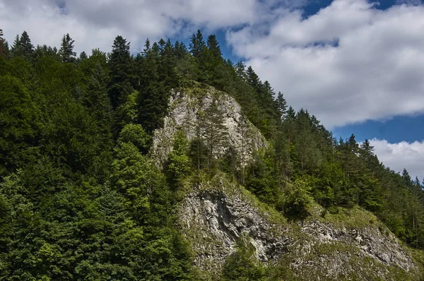 Sýbahec — Stock fotografie