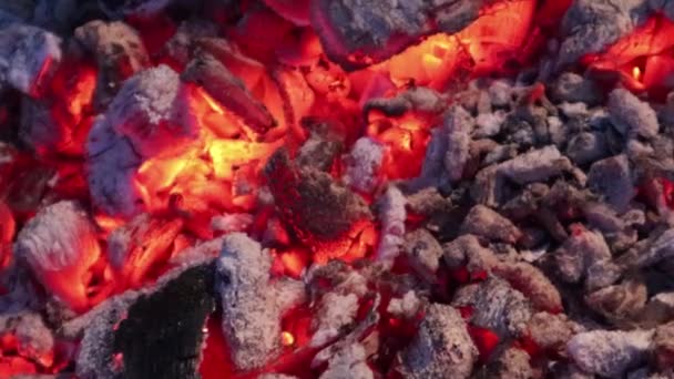 に近づいてのバーベキューのための灰色の灰と明るく輝く熱い石炭 — ストック動画