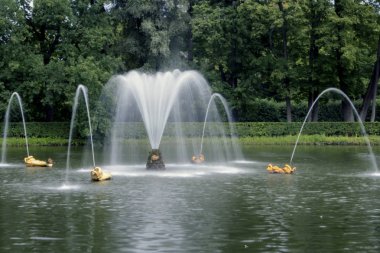 Güzel yelpaze şeklinde Çeşme eski gölet Park ortasında