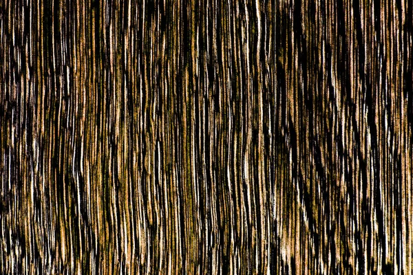 Texture Bois Très Contrastée Dans Les Tons Marron Coupe Longitudinale — Photo