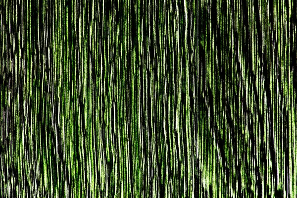 Texture Bois Très Contrastée Dans Les Tons Verts Coupe Longitudinale — Photo