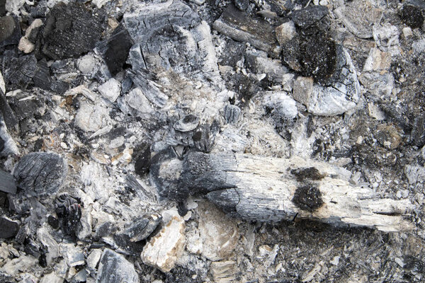 Burnt coals with grey ash after extinguished fire for barbeue, natural background or texture