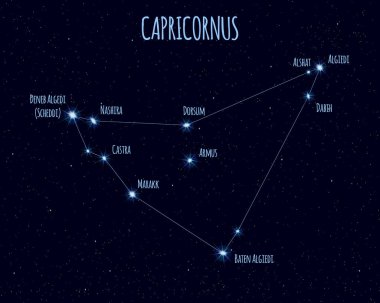 Capricornus (Capricorn) constellation, vector illustration with the names of basic stars against the starry sky clipart
