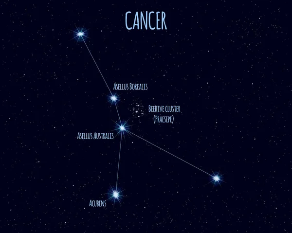 Раковое Созвездие Векторная Иллюстрация Названиями Основных Звёзд Против Звездного Неба — стоковый вектор