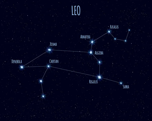 Созвездие Льва Векторная Иллюстрация Названиями Основных Звёзд Фоне Звездного Неба — стоковый вектор