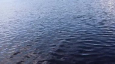 Dalgaların ve su üzerinde daireler ile su yüzeyinden atılan taş