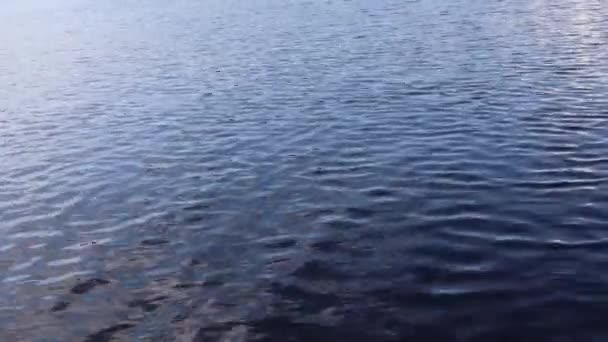 水面与波纹和圈子在水从投掷的石头 — 图库视频影像