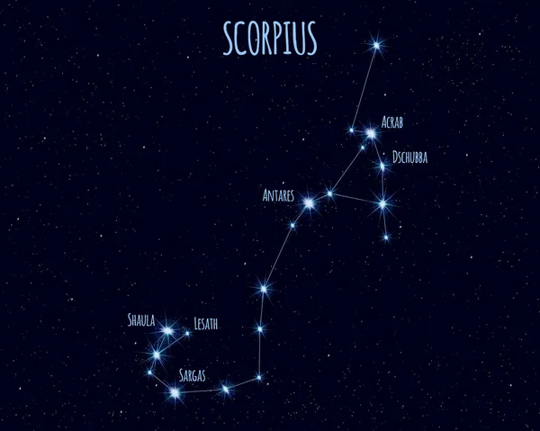 Scorpius (Akrep) takımyıldızı, yıldızlı gökyüzüne karşı temel yıldızların isimleriyle vektör illüstrasyonu