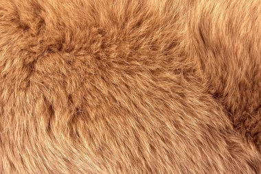 Doğal kürk kırmızı polar fox closeup, arka plan veya doku olarak kullanılabilir