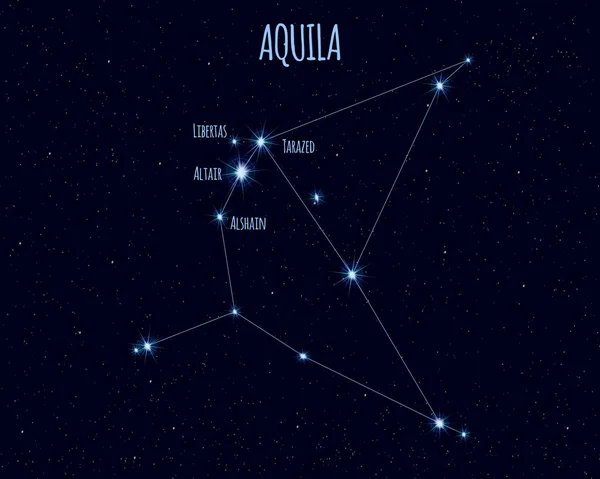 Constelación Aquila Águila Ilustración Vectorial Con Los Nombres Estrellas Básicas — Archivo Imágenes Vectoriales