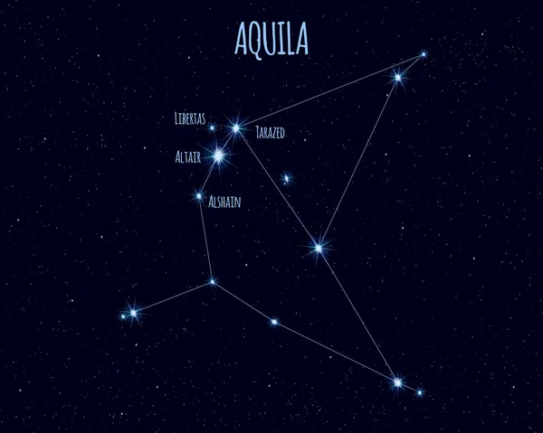 Aquila (Kartal) takımyıldızı, yıldızlı gökyüzüne karşı basit yıldızların isimleriyle vektör illüstrasyonu