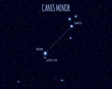 Canis Minor (The Lesser Dog) constellation, vector illustration with the names of basic stars against the starry sky clipart