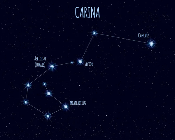 Carina Salma Takımyıldızı Yıldızlı Gökyüzü Karşı Temel Yıldız Isimleri Ile — Stok Vektör