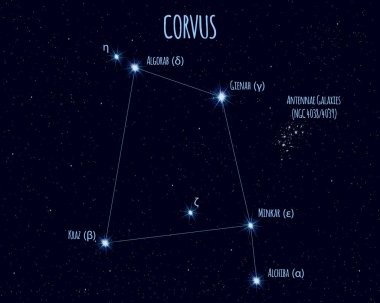 Corvus (Kuzgun) takımyıldızı, yıldızlı gökyüzüne karşı temel yıldız isimleri ile vektör illüstrasyon