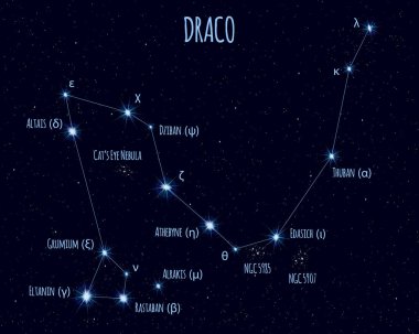 Draco (Ejderha) takımyıldızı, yıldızlı gökyüzüne karşı temel yıldız isimleri ile vektör illüstrasyon 