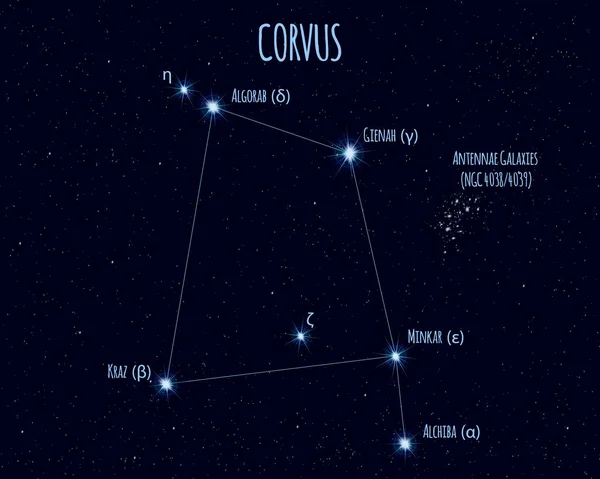 Constelación Corvus Cuervo Ilustración Vectorial Con Los Nombres Estrellas Básicas — Archivo Imágenes Vectoriales