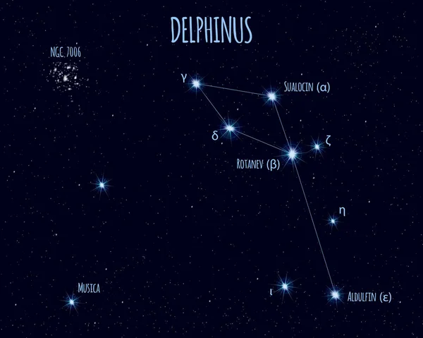 Созвездие Дельфина Векторная Иллюстрация Названиями Основных Звёзд Фоне Звездного Неба — стоковый вектор