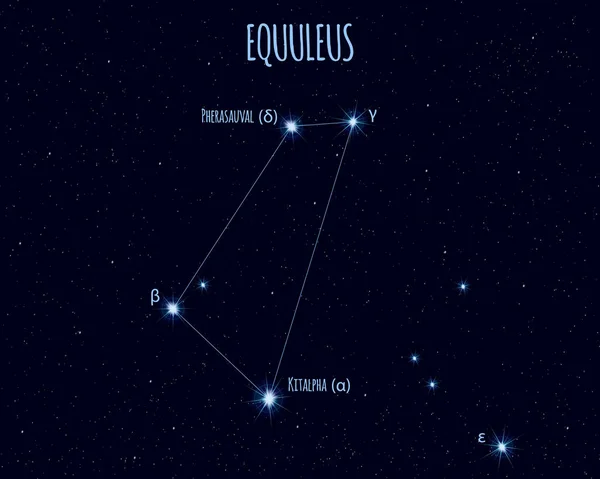 Equuleus Küçük Takımyıldızı Yıldızlı Gökyüzü Karşı Temel Yıldız Isimleri Ile — Stok Vektör