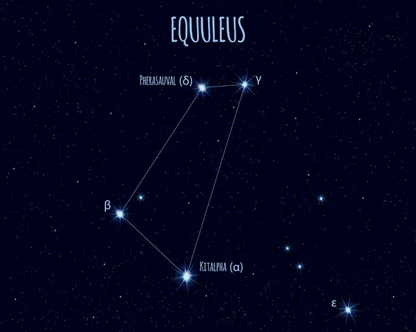 Equuleus (küçük at) takımyıldızı, yıldızlı gökyüzü karşı temel yıldız isimleri ile vektör çizim