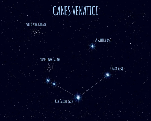 Canes Venatici Cães Caça Constelação Ilustração Vetorial Com Nomes Estrelas — Vetor de Stock