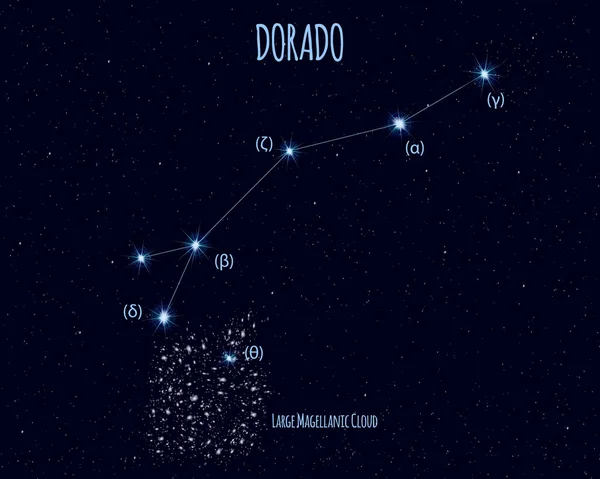 Constellation Dorado Poisson Rouge Illustration Vectorielle Avec Les Noms Des — Image vectorielle