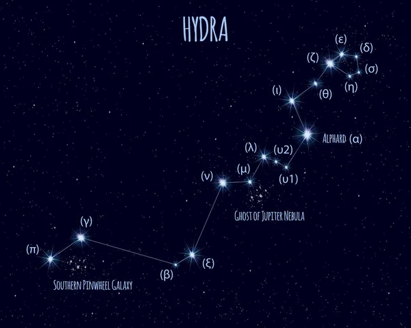 Созвездие Гидры Векторная Иллюстрация Названиями Основных Звёзд Фоне Звездного Неба — стоковый вектор