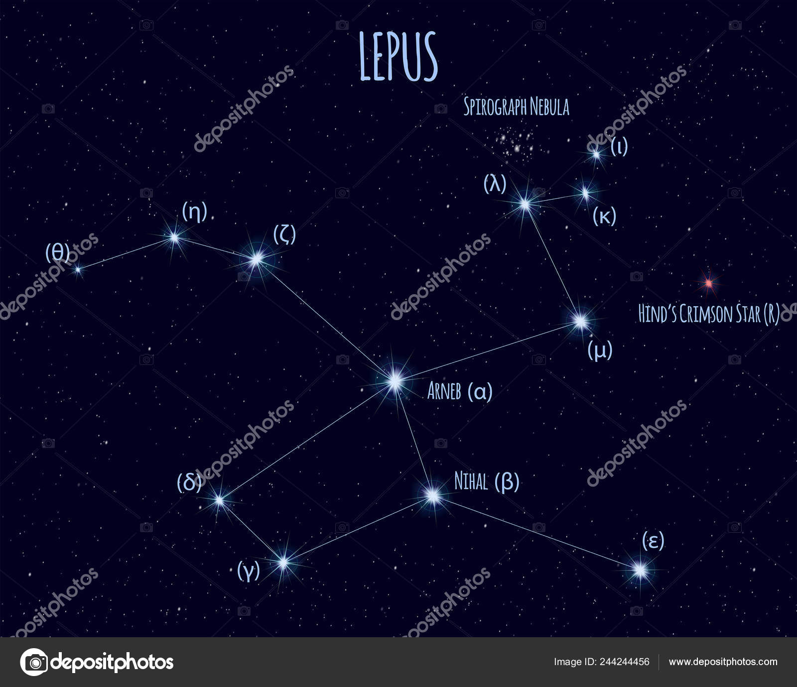うさぎ座の星座ストックベクター ロイヤリティフリーうさぎ座の星座イラスト Depositphotos うさぎ座の星座ストックベクター ロイヤリティフリーうさぎ座の星座イラスト Depositphotos