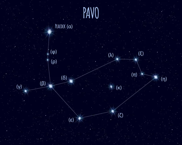 Созвездие Паво, векторная иллюстрация с названиями основных звёзд — стоковый вектор