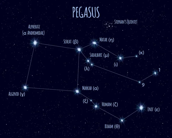 Constellation Pégase Illustration Vectorielle Avec Les Noms Des Étoiles Base — Image vectorielle