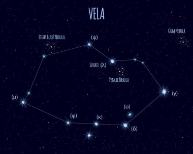 Vela (yelken) takımyıldızı, yıldızlı gökyüzü karşı temel yıldız isimleri ile vektör çizim