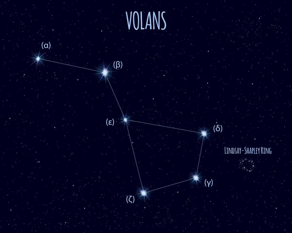 Созвездие Волан Летающая Рыба Векторная Иллюстрация Названиями Основных Звёзд Фоне — стоковый вектор