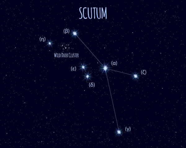 Созвездие Щита Векторная Иллюстрация Названиями Основных Звёзд Против Звездного Неба — стоковый вектор