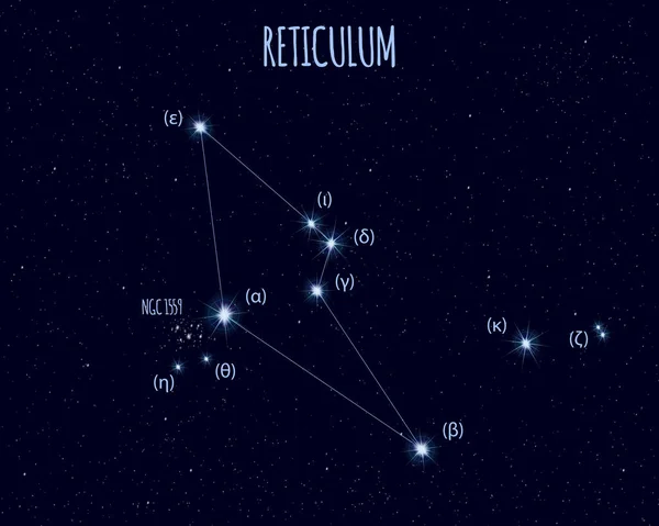 Созвездие Сети Векторная Иллюстрация Основными Звёздами Против Звездного Неба — стоковый вектор