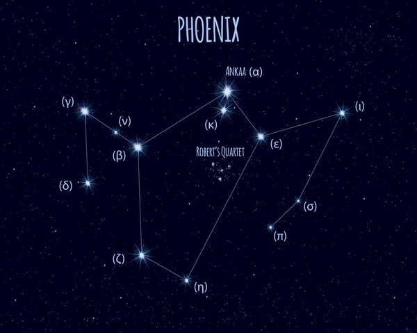 빛나는 하늘에 이름과 피닉스 별자리 — 스톡 벡터