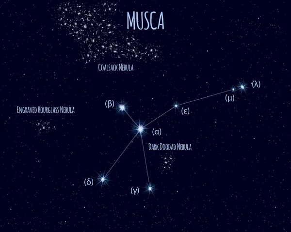 Constellation Musca Mouche Illustration Vectorielle Avec Des Étoiles Basiques Contre — Image vectorielle