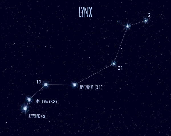 リンクス星座 星空に対する基本的な星の名前を持つベクトルイラスト — ストックベクタ