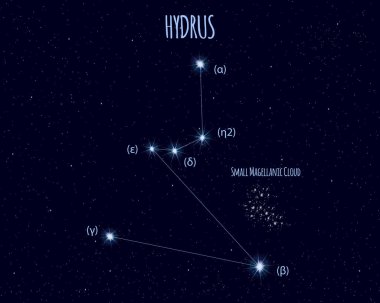 Hydrus (Küçük Su Yılanı) takımyıldızı, yıldızlı gökyüzüne karşı temel yıldızlarla vektör illüstrasyonu 