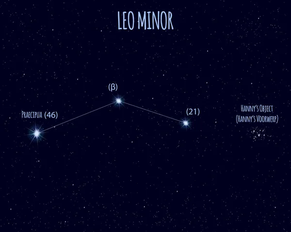 Leo Minor Lesser Lion Constellation Vector Illustration Basic Stars Starry — Stock Vector