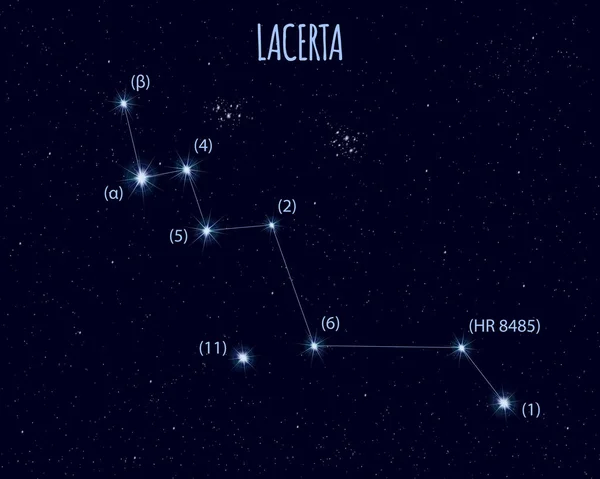 Lacerta Kertenkele Takımyıldızı Yıldızlı Gökyüzüne Karşı Temel Yıldızlarla Vektör Çizimi — Stok Vektör