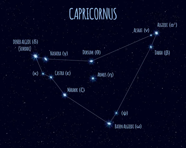 Capricornus Capricorn Constellation Vector Illustration Names Basic Stars Starry Sky — Stock Vector