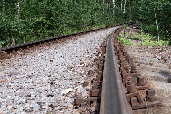 Old forest railway track with rusty rails going into the distance