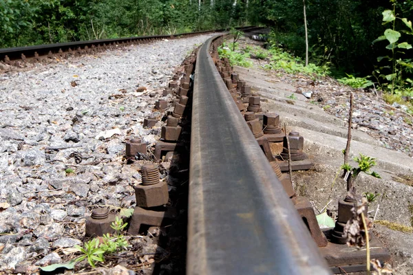 Old Forest Railway Track Rusty Rails Going Distance — Stock Photo, Image
