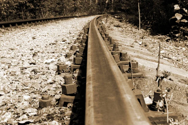 Старый Лесной Железнодорожный Путь Ржавыми Рельсами Вдаль Сепия Тон — стоковое фото