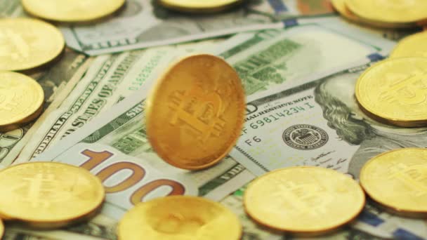 Bitcoin en dollars in stapel — Stockvideo