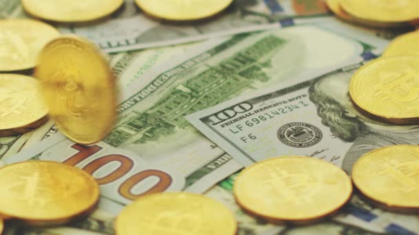 Arany érmék és a dollár számlák — Stock videók