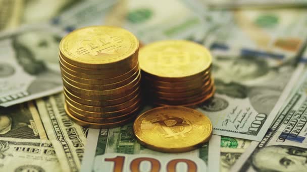 Altın bitcoins ve banknot — Stok video
